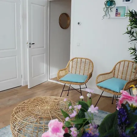 Harlem Studio's Haarlem