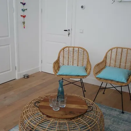 Harlem Studio's Alloggio in famiglia Haarlem