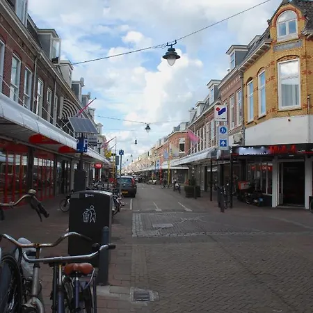 Harlem Studio's Haarlem