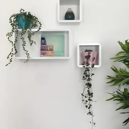 Harlem Studio's Haarlem